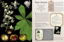 INGRAM PUBLISHING SERVICES 100 Plants That Heal