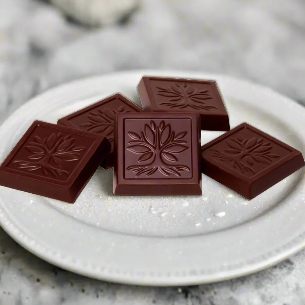 The Shops at Mount Vernon American Heritage Chocolate Tasting Square