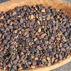 The Shops at Mount Vernon Blue False Indigo Seed Pack