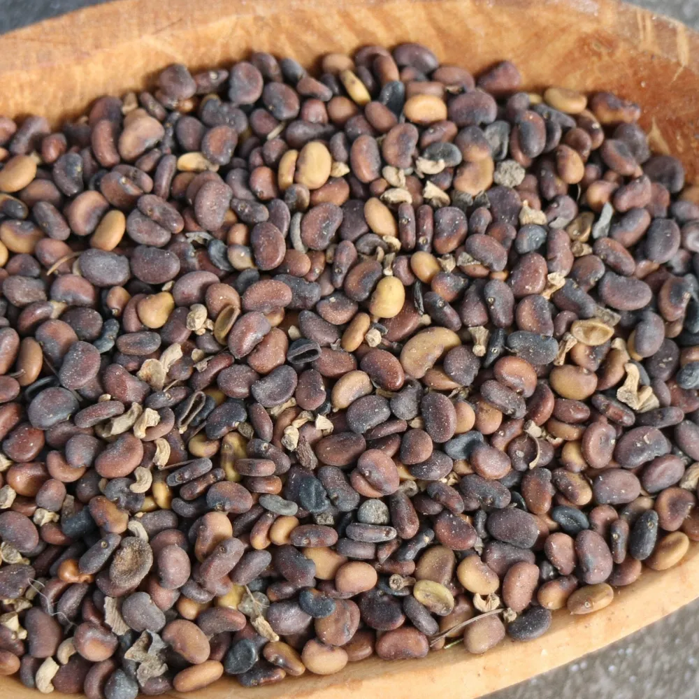 The Shops at Mount Vernon Blue False Indigo Seed Pack