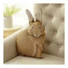 The Shops at Mount Vernon Cottontail Bunny Pillow