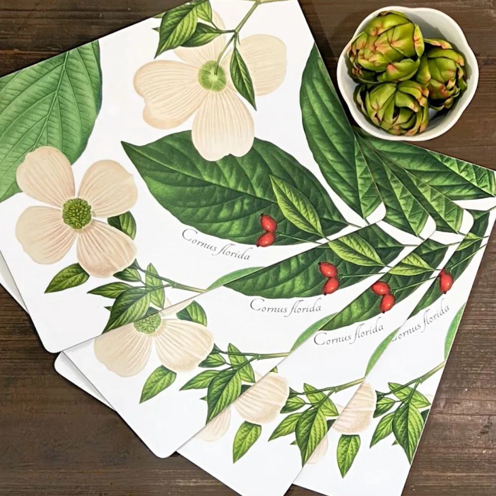 DESIGN MASTER ASSOCIATES Dogwood Board Placemats - Set of 4