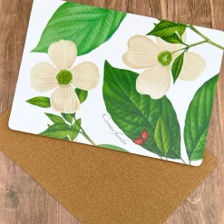 DESIGN MASTER ASSOCIATES Dogwood Board Placemats - Set of 4