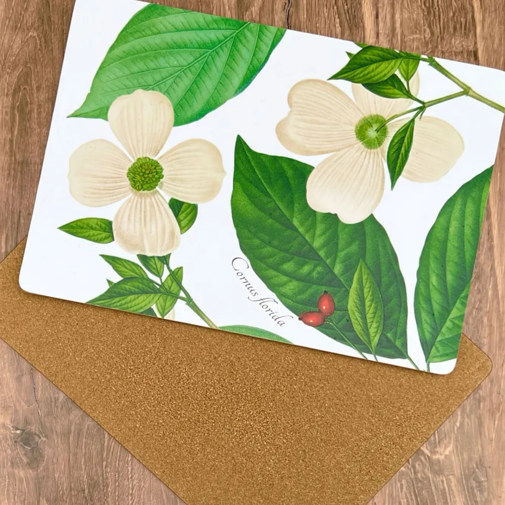 DESIGN MASTER ASSOCIATES Dogwood Board Placemats - Set of 4