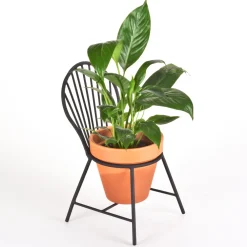 DESIGN MASTER ASSOCIATES Mount Vernon Windsor Chair Planter