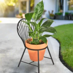 DESIGN MASTER ASSOCIATES Mount Vernon Windsor Chair Planter