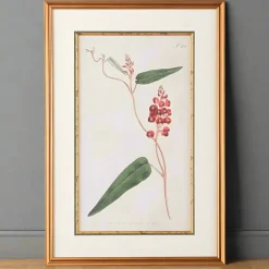 CHELSEA HOUSE Native Lilac Botanical Print