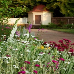 Women Color Craft Inc Sterling Silver & Gold Plated Floral Swirl Pendant