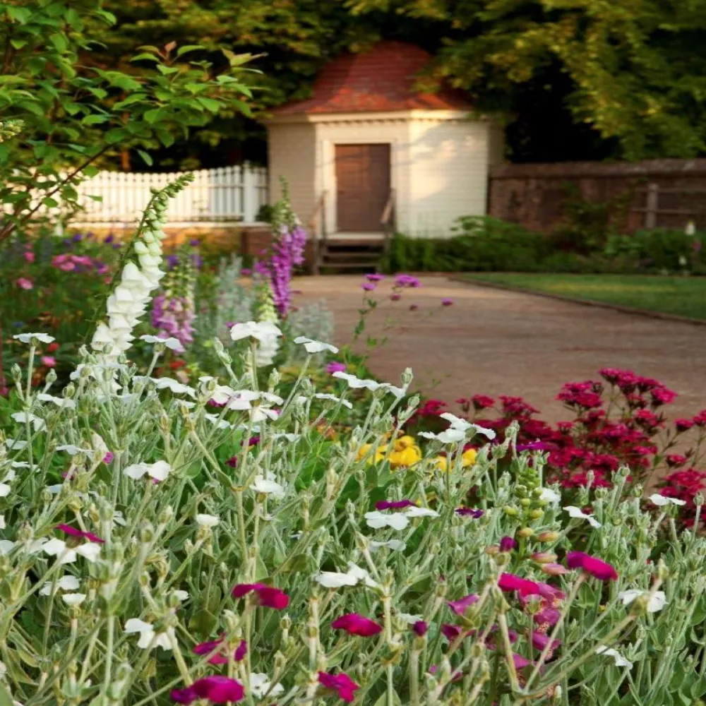 Women Color Craft Inc Sterling Silver & Gold Plated Floral Swirl Ring