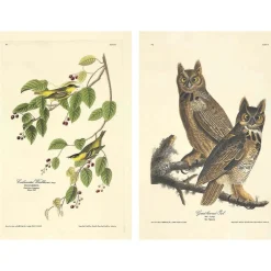 PENGUIN RANDOM HOUSE LLC The Birds of America