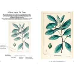 W.W. NORTON & CO. The Trees of North America