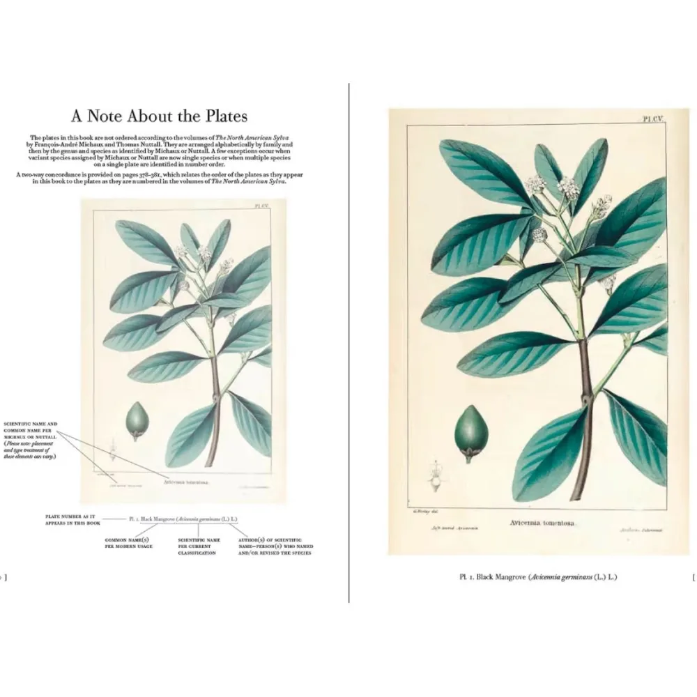 W.W. NORTON & CO. The Trees of North America
