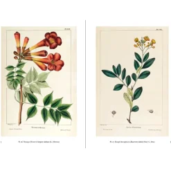 W.W. NORTON & CO. The Trees of North America