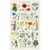 Cavallini Papers & Co. Inc Wildflowers Tea Towel
