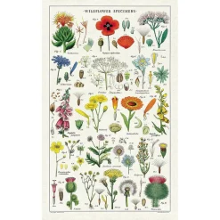 Cavallini Papers & Co. Inc Wildflowers Tea Towel
