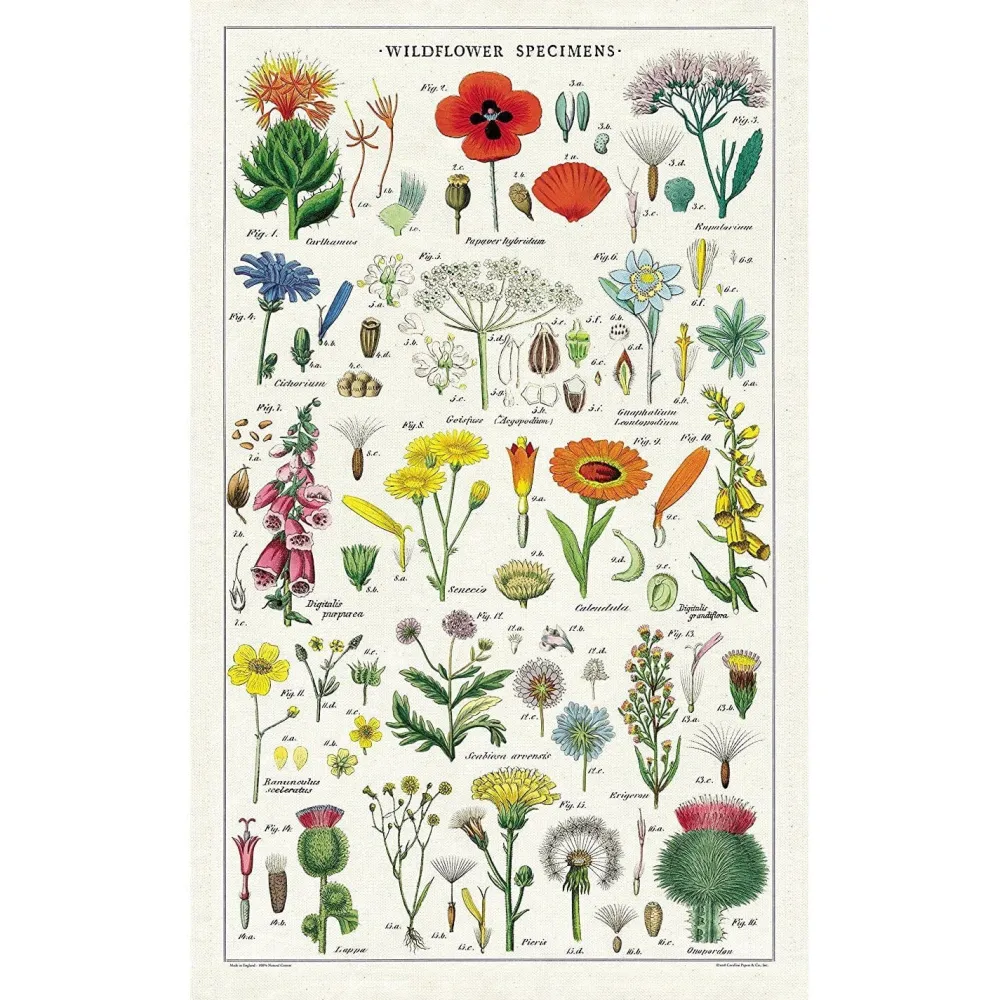 Cavallini Papers & Co. Inc Wildflowers Tea Towel
